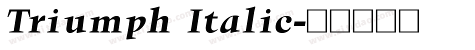 Triumph Italic字体转换